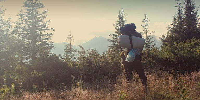 OCEAN and the Enneagram: A Deeper Lens for Self-Discovery